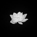 999 Pure Silver Lotus Tea Pet