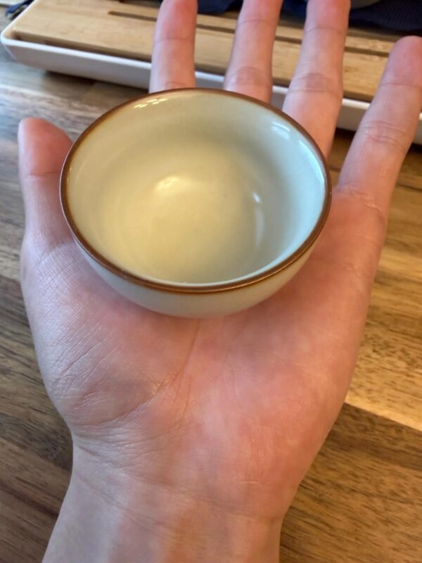 Exquisite Oriental Floral Porcelain Tea Set - Portable Brewing Gaiwan with Strainer and 3 Tasting Cups