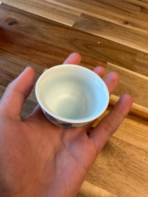 Serene Peaks Porcelain Gongfu Tea Set with Premium Leather Travel Case